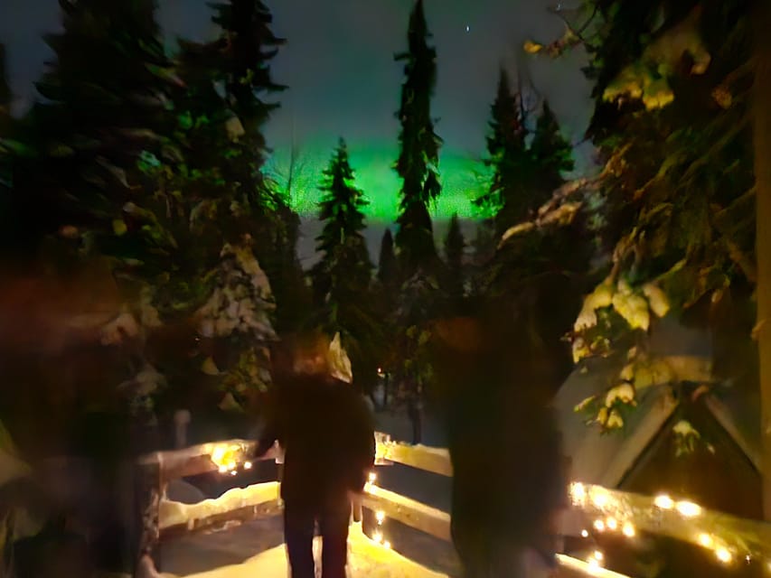 Kemi-Tornio: Starguaranteed Northern Lights Auroras - The hour at the viewpoint: where you learn to read the sky