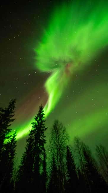 Kemijärvi: Insider Guided Aurora Hunting - How the expert guide helps you read the aurora sky