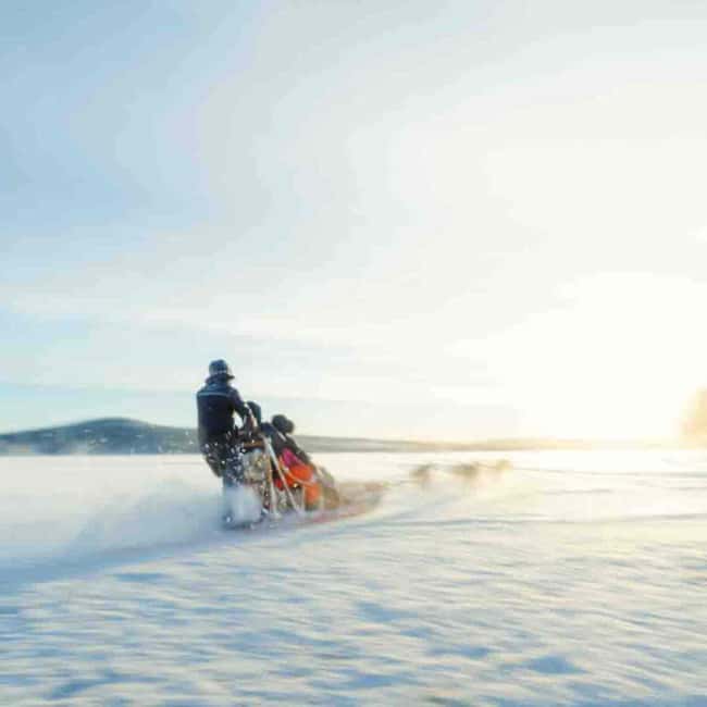 Kemijärvi: Insider Husky Self-Drive 5km Safari - Winter Clothing and Boots: How to Dress for a Husky Safari You Actually Control