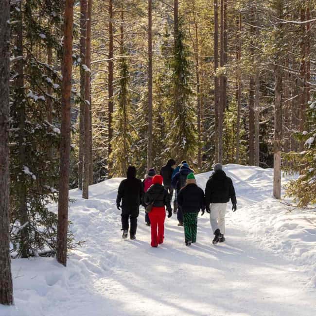 Kemijärvi: Insider Korouoma Frozen Waterfalls Hike - Korouoma Frozen Waterfalls: What Makes This Winter Hike Worth It