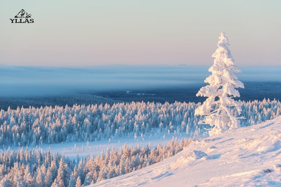 King of Ylläs: Snowmobiling to the Hill - Meet-up, transfers, and getting kitted up properly