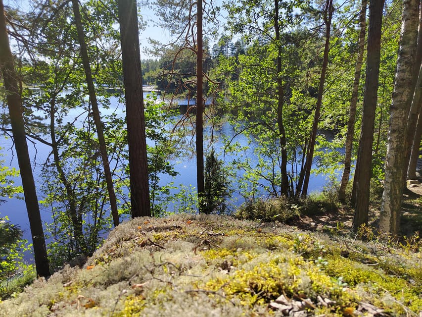 Kintulammi Nature Experience (Nature reserve near Tampere) - Choosing Your Route: Walk Options Based on Kilometers