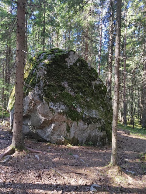 Kintulammi Nature Experience (Nature reserve near Tampere) - The First Stop Near the Car Park: About 300 Meters and a Sense of Place