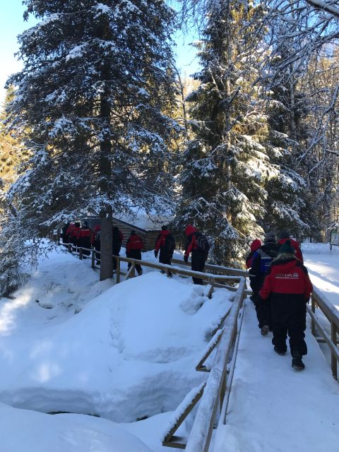 Korouoma Canyon and Frozen Waterfalls - Weather, Shorter Walks, and How to Get the Most Out of Uncertainty