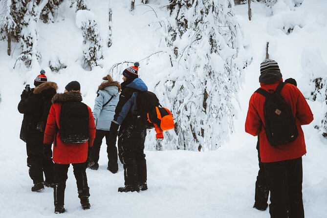 Korouoma Canyon Frozen Waterfalls - Entering the canyon: what the 5 km hike feels like in real winter