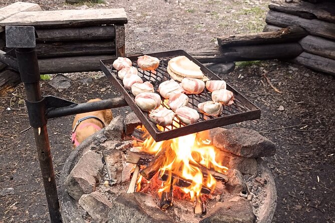 Korouoma Canyon: Frozen Waterfalls Hike & BBQ Experience - The guide experience with Alex: helpful, close, and tuned to your pace