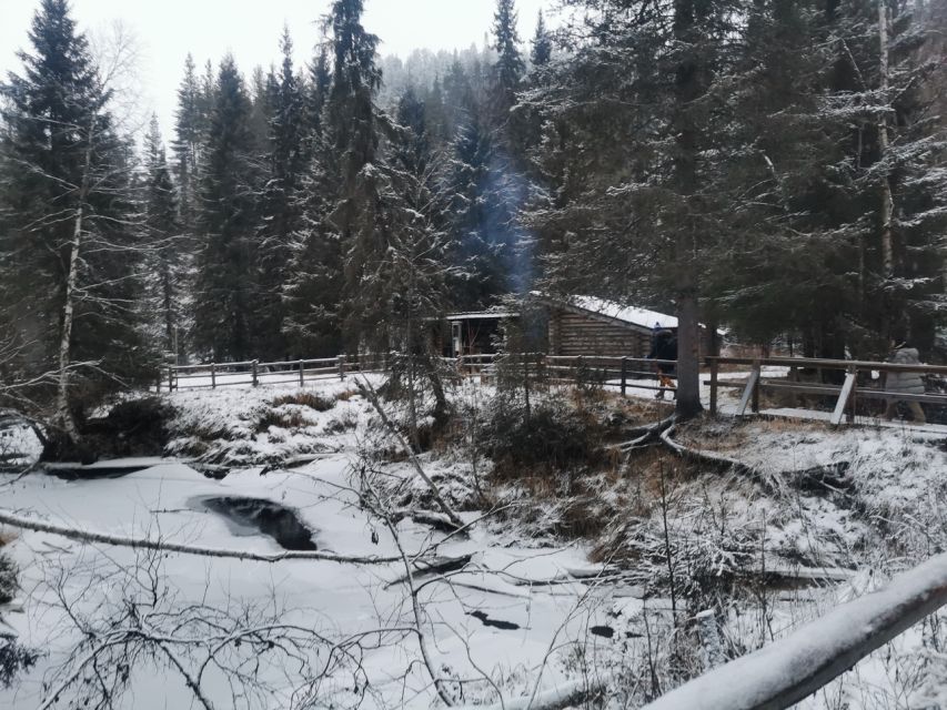 Korouoma Canyon Frozen Waterfalls Hike & Private Teepee BBQ - Key things to know before you go