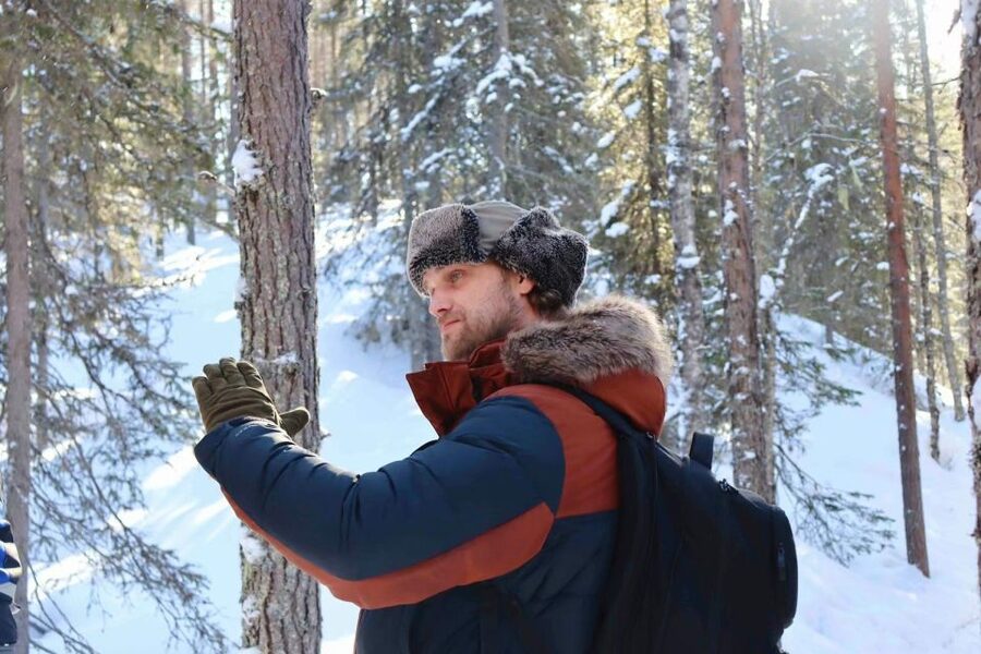 Korouoma Canyon Frozen Waterfalls Hike & Private Teepee BBQ - Wildlife spotting in winter: what you can hope for, and how to act