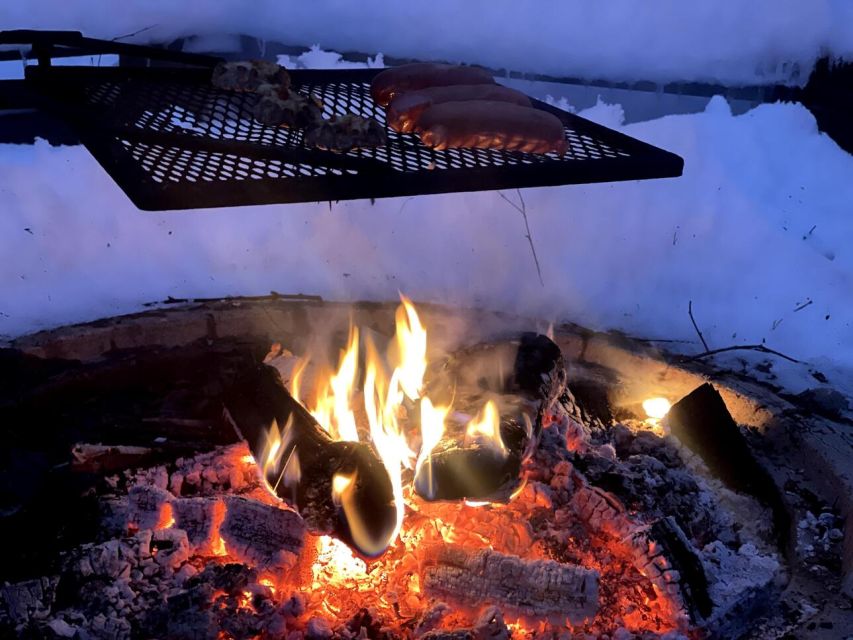 Korouoma Canyon Frozen Waterfalls Hike & Private Teepee BBQ - Who this is best for, and who should skip it