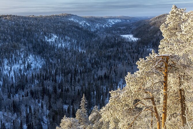 Korouoma canyon national park & frozen waterfalls with BBQ - Pickup, drive to Posio, and what your guide does first