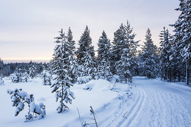 Korouoma Canyon Snowshoe Trip - Price and Value: Is $179.24 a Good Deal?