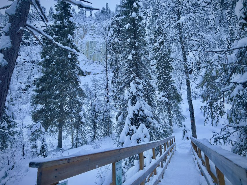 Korouoma: Frozen Waterfall Hiking Tour - Frozen waterfalls in Korouoma Canyon: what you’re actually chasing