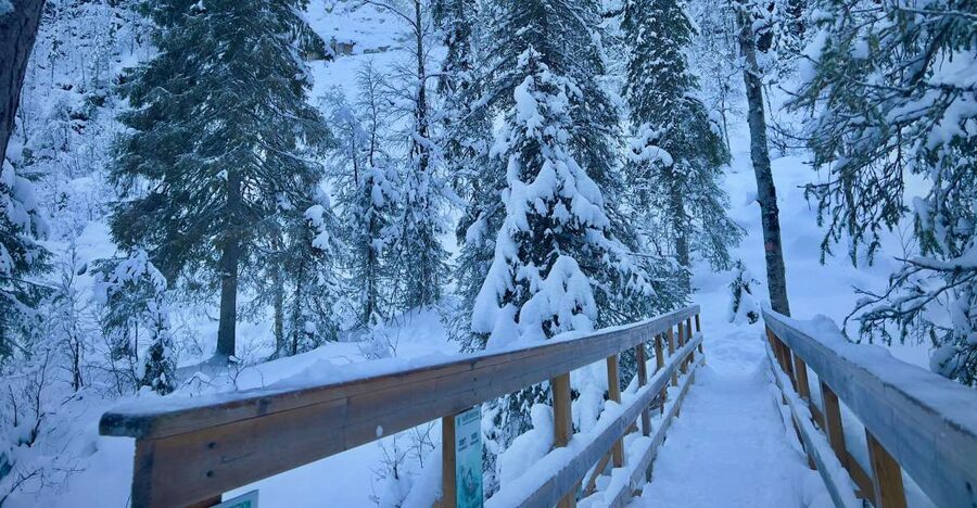 Korouoma: Frozen Waterfall Hiking Tour - Getting to the trail from Rovaniemi: the ride time and what it changes