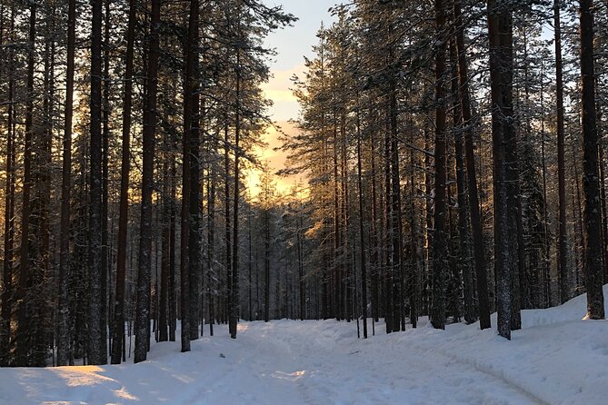 Korouoma national park and frozen waterfalls hiking tour - Gear Reality Check: Boots, Warm Clothes, and What Is Not Included