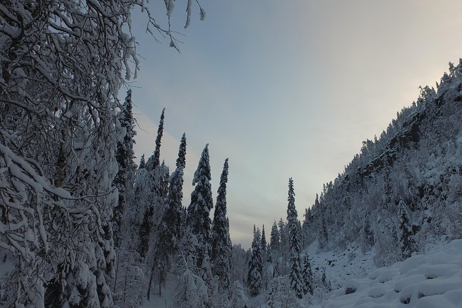 Korouoma national park and frozen waterfalls hiking tour - Price and Value: Is $162.40 Worth a Cold-Winter Hike?