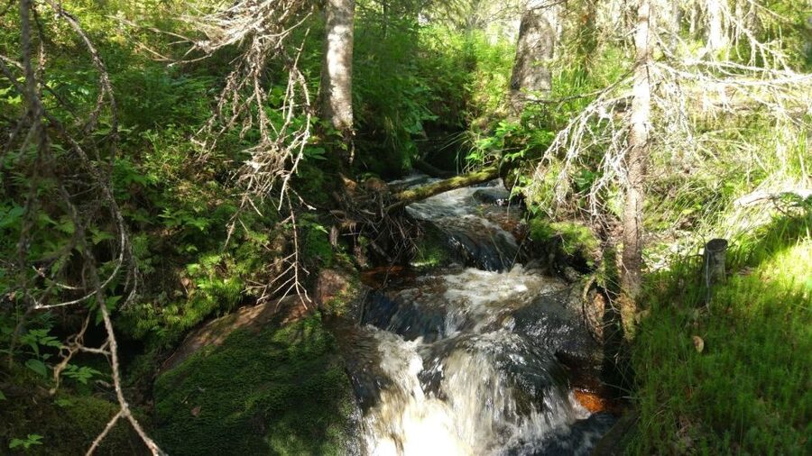 Korouoma National Park Guided Hike with Snacks - From Rovaniemi to the Park: Plan for the 1 hour 20 minute drive