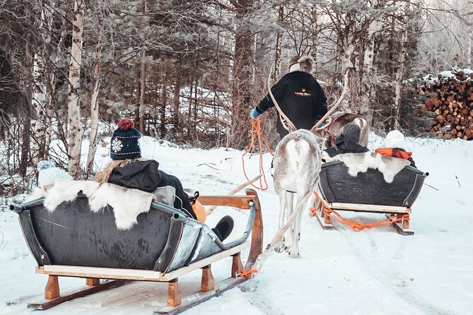 Kuoksa Reindeer Adventure - Price and value: is $191.05 worth it?