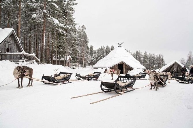 Kuoksa Reindeer Farm Visit with a Short Sleigh Ride - Key highlights to know before you go