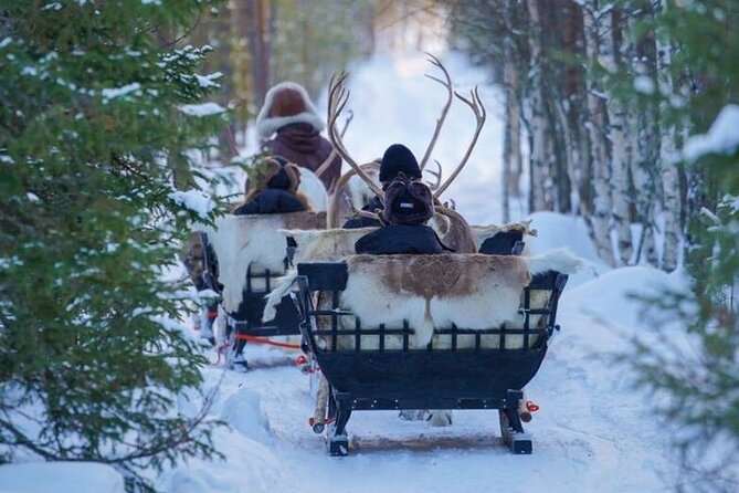 Kuoksa Reindeer Farm Visit with a Short Sleigh Ride - What you learn: reindeer life and the herding trade, not just sightseeing