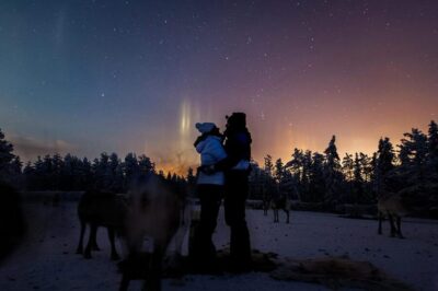 Reindeer Farm Visit