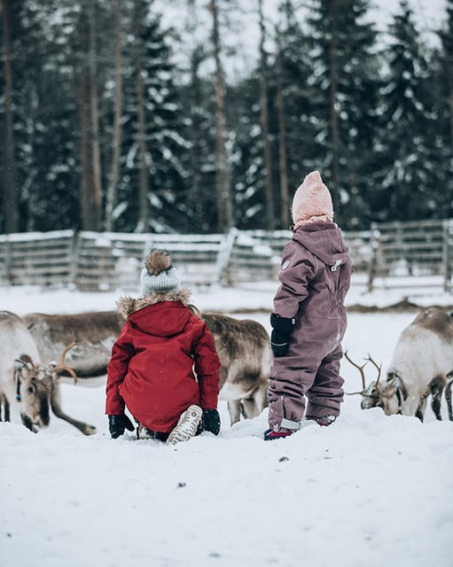 Kuusamo: Reindeer Farm Visit - The guide and the Q&A factor: English, Finnish, and real answers