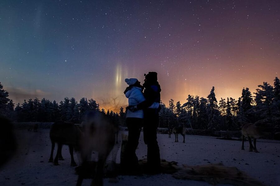 Kuusamo: Reindeer Farm Visit - Getting close at the ancient corral, and why lichen feeding is the real highlight