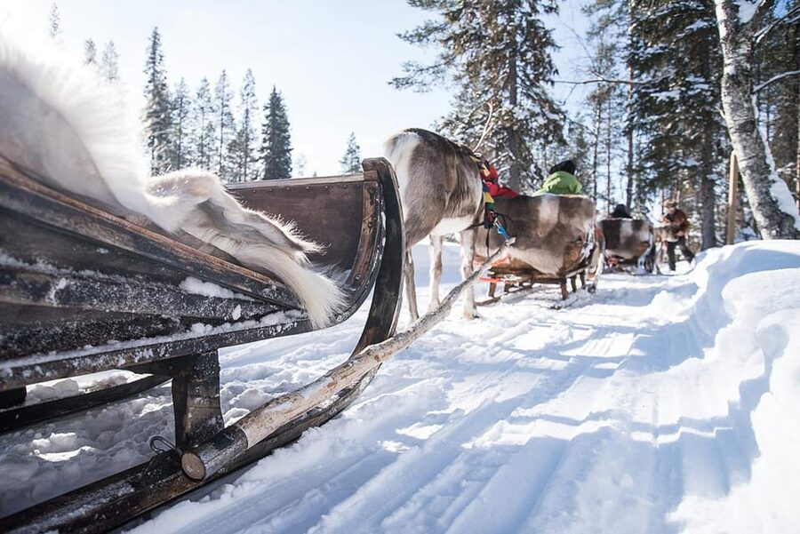 Kuusamo: Reindeer Sleigh Ride and Farm Visit - Key highlights at Kujala Reindeer Farm
