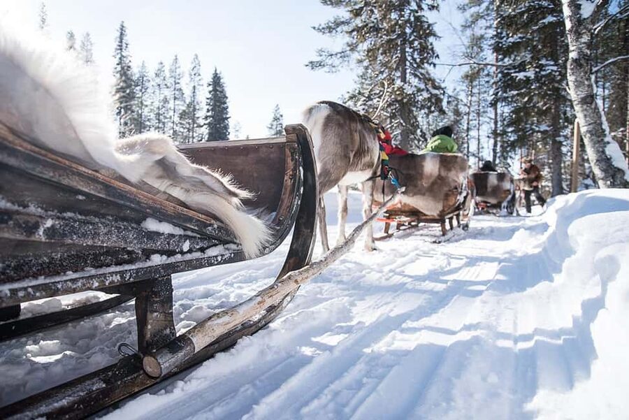 Kuusamo: Reindeer Sleigh Ride in Kujalan Porotila - Warmth strategy: reindeer hides actually change the experience