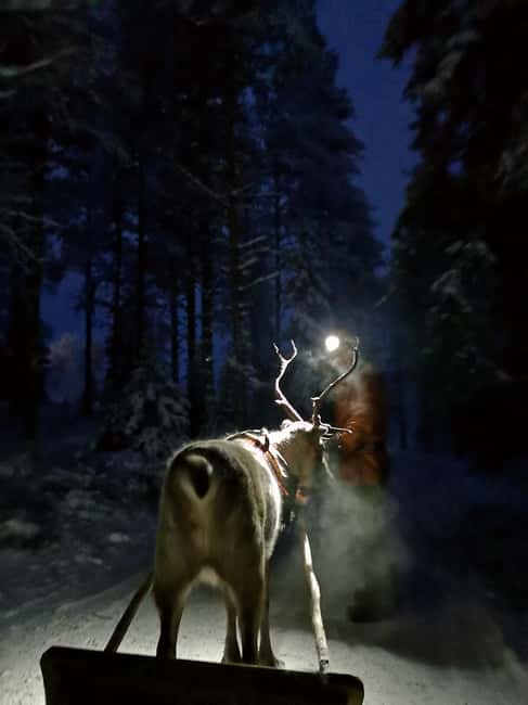 Kuusamo: Reindeer Sleigh Ride in Kujalan Porotila - The farm shop and craft workshop: why the end matters