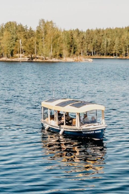 Lake Saimaa story cruise by Ecoboat in Puumala - Wildlife watching odds on Saimaa: seals and osprey, plus smart use of binoculars