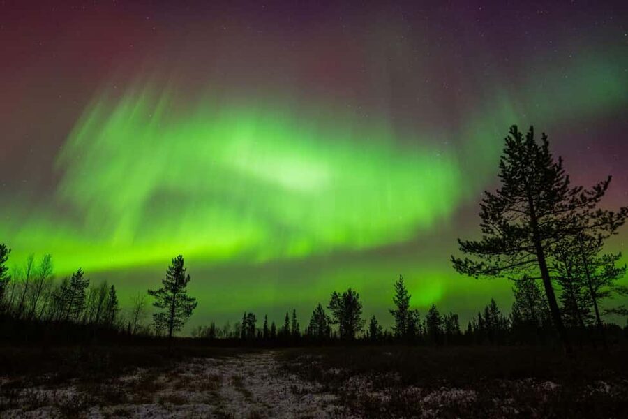 Lapland: Aurora Hunting by Minivan with Guide and Transport - A 3-Hour Northern Lights Hunt From Ivalo, Inari, or Saariselkä