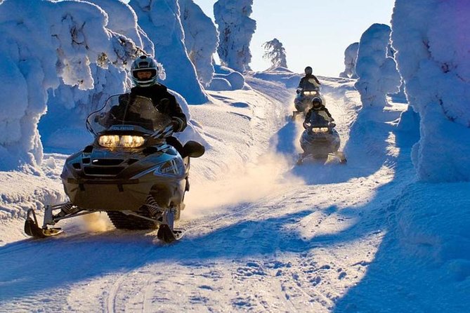 Lapland Family Snowmobile Safari from Levi - Who should book this safari (and who might prefer something else)