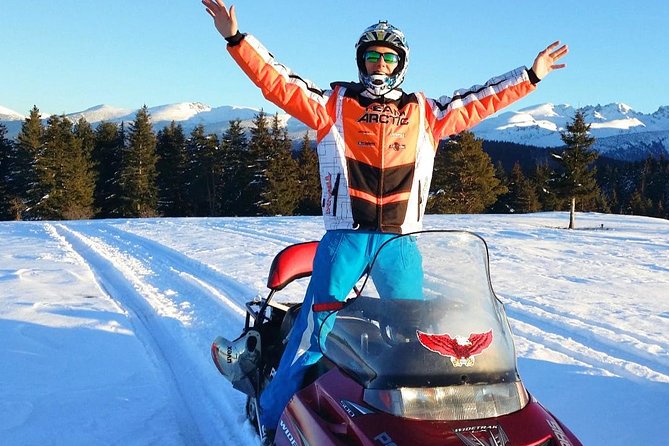 Lapland Family Snowmobile Safari from Rovaniemi - The campfire break: hot berry juice, Lappish sausages, and why it matters