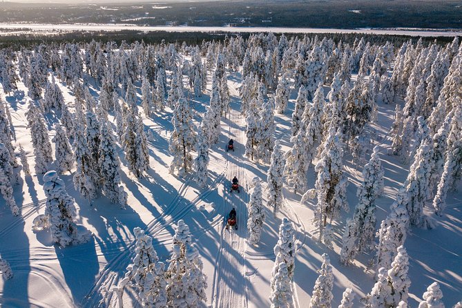 Lapland Family Snowmobile Safari from Rovaniemi - Snowmobiling time you can actually plan: adults, doubles, and how kids join in