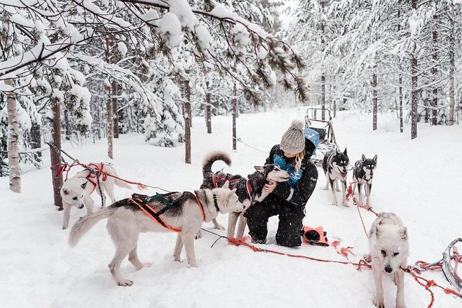 Lapland Husky Safari from Saariselkä - Included gear, snacks, and what you should bring from your side