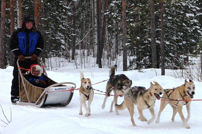 Lapland Husky Safari from Saariselkä - Price and value: is $382.25 per person fair?