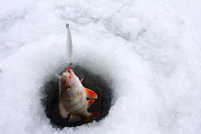 Lapland Ice Fishing Experience from Rovaniemi - Hotel Pickup to Icy Lake: How the Day Flows
