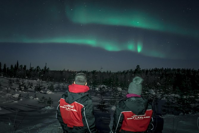 Lapland In A Day - Reindeer, Sledding, Snowmobile & Nature - Why This Half-Day in Rovaniemi Makes Sense for Winter