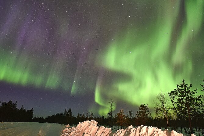 Lapland In A Day - Reindeer, Sledding, Snowmobile & Nature - The Open Fire Hut: Lappish Snacks, Warm Drinks, and Real Comfort