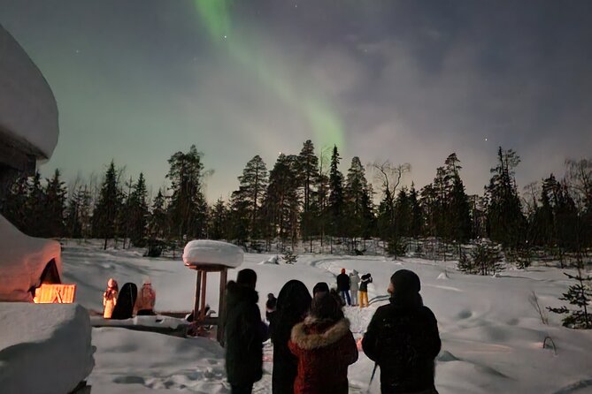 Lapland In A Day - Reindeer, Sledding, Snowmobile & Nature - The Snow Slide: A Fun Bonus for Friends and Families