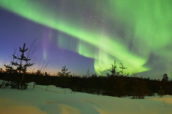 Lapland In A Day - Reindeer, Sledding, Snowmobile & Nature - Timing, Group Size, and What to Expect From the Guide