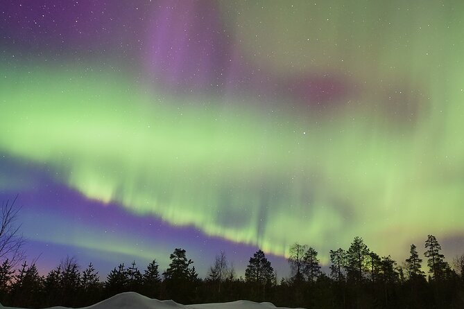 Lapland In A Day - Reindeer, Sledding, Snowmobile & Nature - Northern Lights Chances: What This Tour Can and Cannot Promise