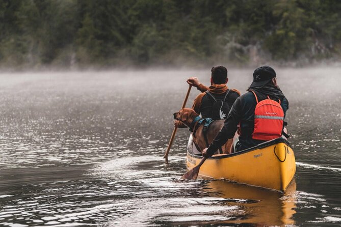 Lapland Kayak Adventure in Rovaniemi - Wildlife Spotting: How to Make It More Than a Hope