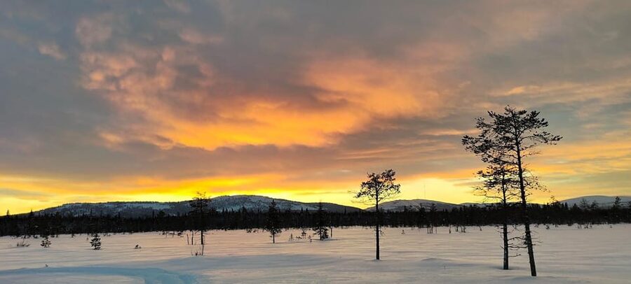 Lapland: Private Snowmobile Safari with arctic Local Guide - Why Luosto private snowmobiling feels different