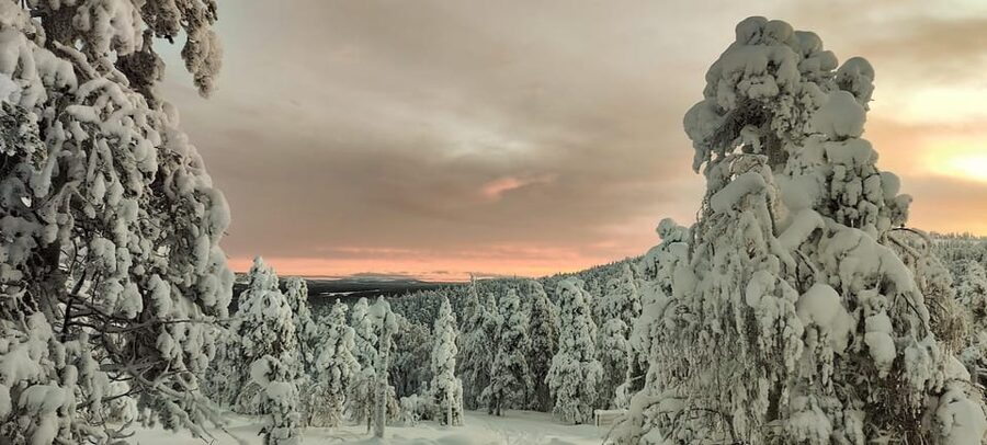 Lapland: Private Snowmobile Safari with arctic Local Guide - Pickup in Luosto, transfer timing, and where you meet