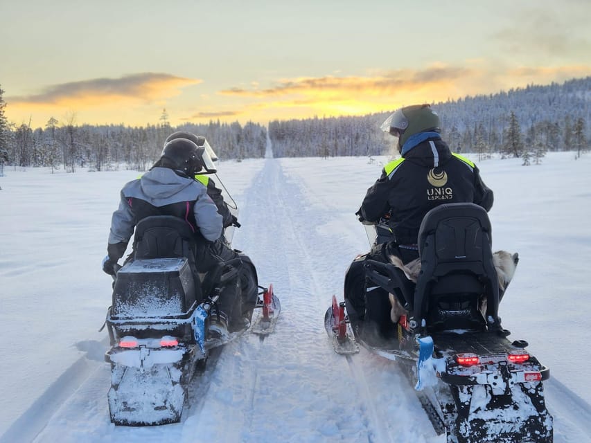 Lapland: Private Snowmobile Safari with arctic Local Guide - Price, what you are actually paying for, and who it makes sense for