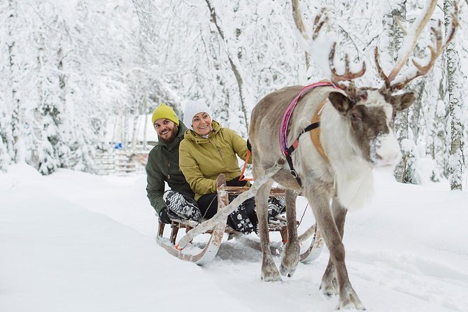 Lapland Reindeer and Husky Safari from Rovaniemi - Price and Value: What $246.41 Buys You in Real Terms