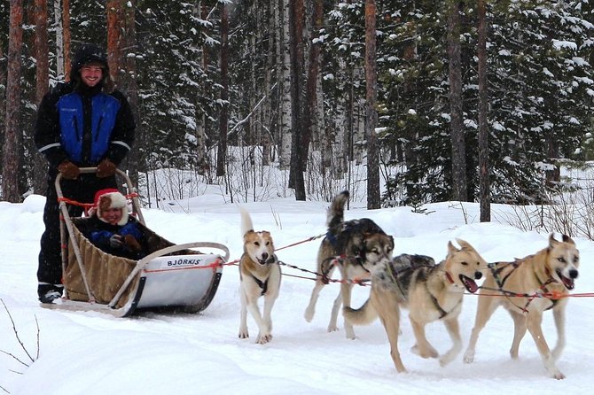 Lapland Reindeer and Husky Safari from Rovaniemi - Who Should Book This Safari, and Who Might Skip It
