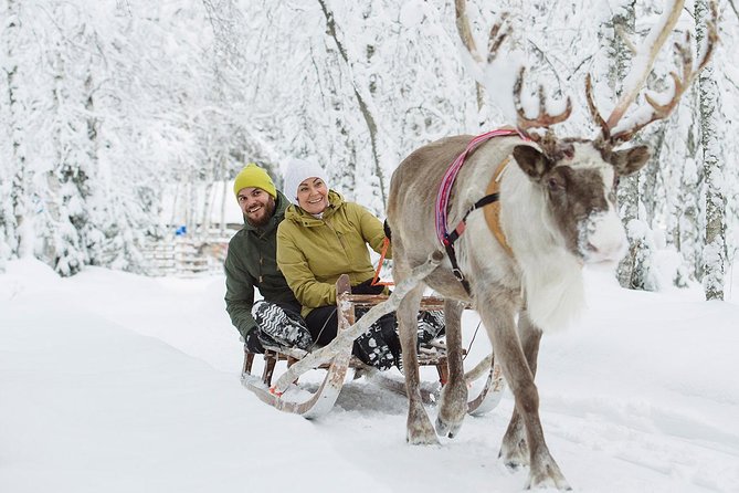 Lapland Reindeer Safari from Rovaniemi - The 2-Hour Flow: From Farm Welcome to Forest Sleigh Ride