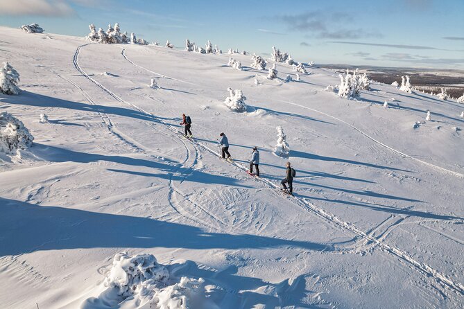 Lapland Wilderness Adventure - Explore Wild Arctic Trails - Key highlights to know before you go